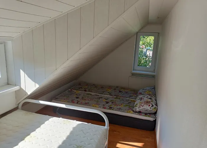 Large With Parking Apartment Palanga